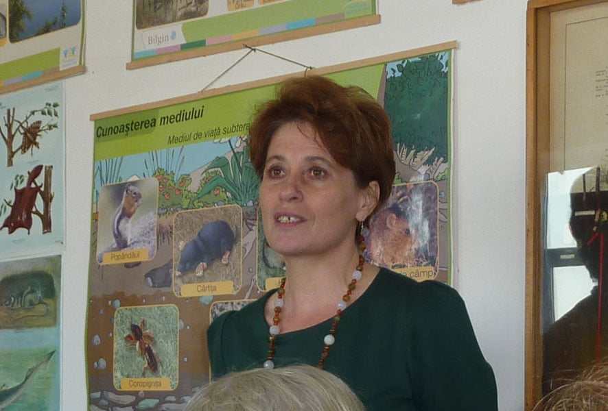 Liliana Chelariu, consilier local pentru o lună