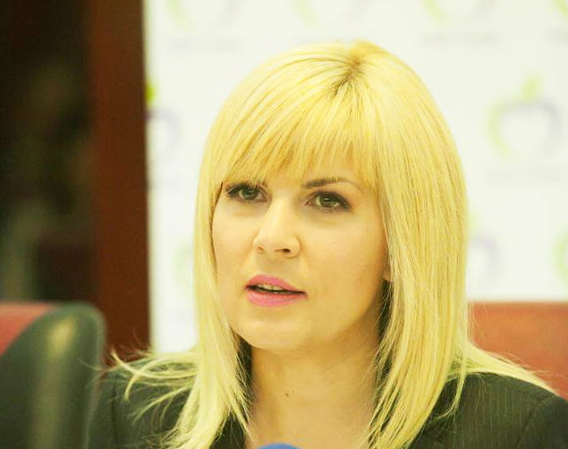 Elena Udrea vrea proces pe Lună