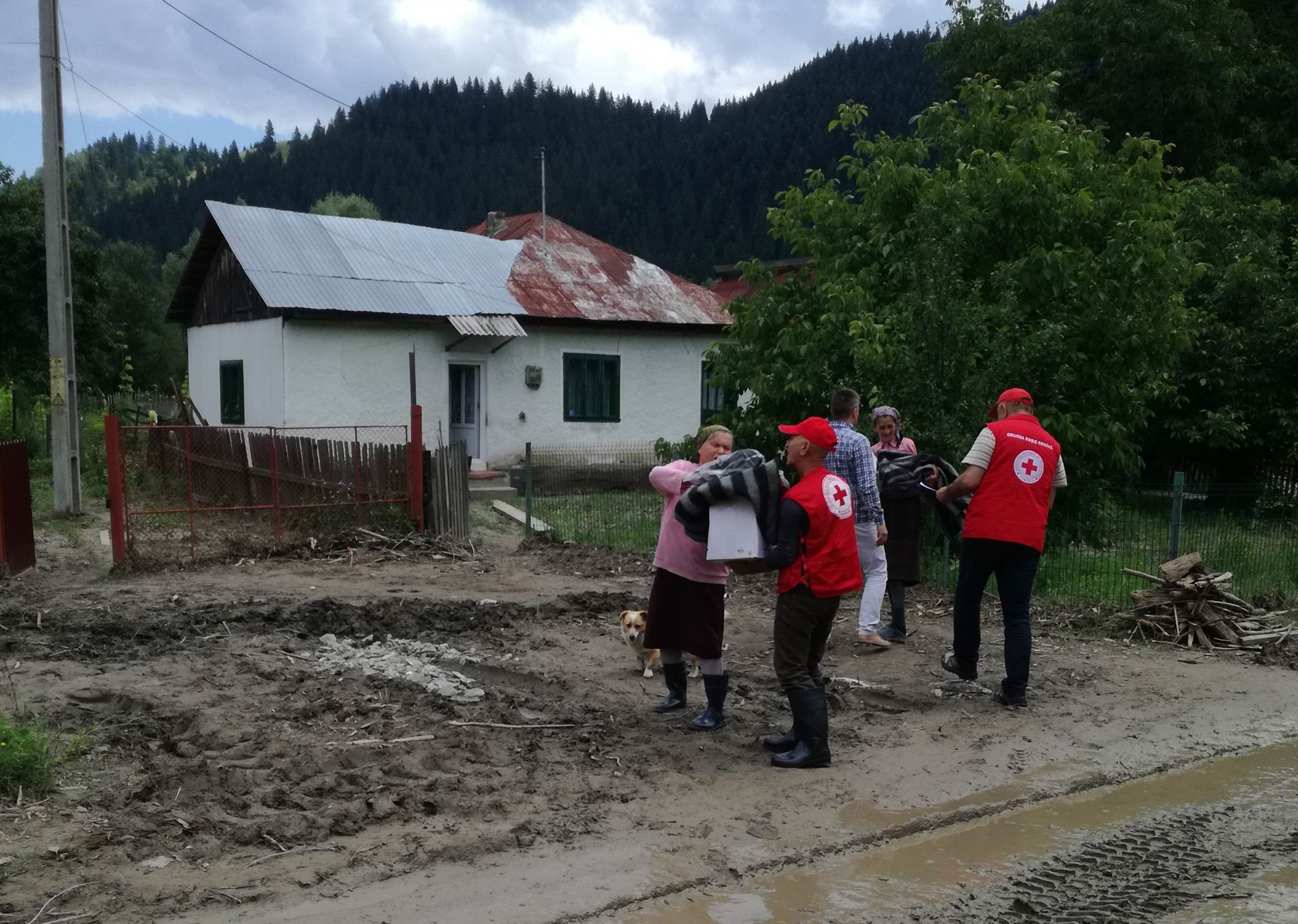 Donații de la Crucea Roșie pentru sinistrații din Neamț