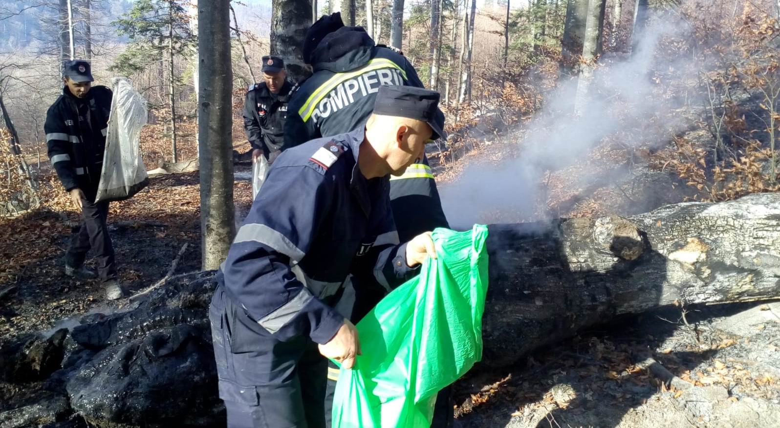 Peste 70 de pompieri și silvicultori au intervenit pentru lichidarea unui incendiu de pădure
