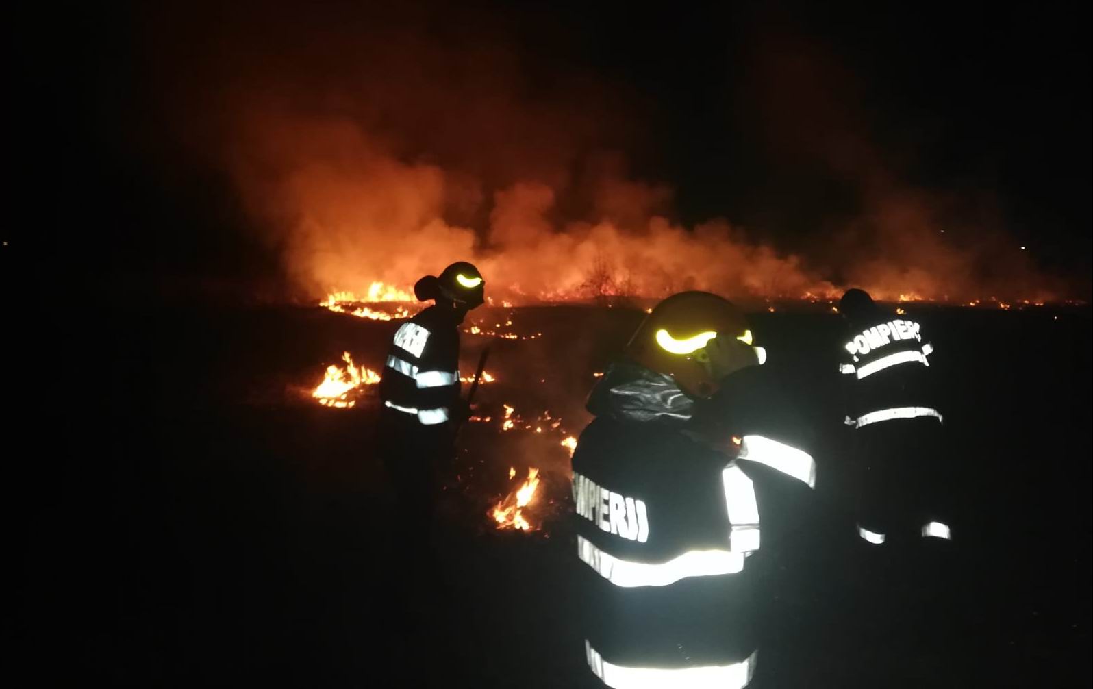 Șapte hectare de vegetație uscată au ars în comuna Pâncești