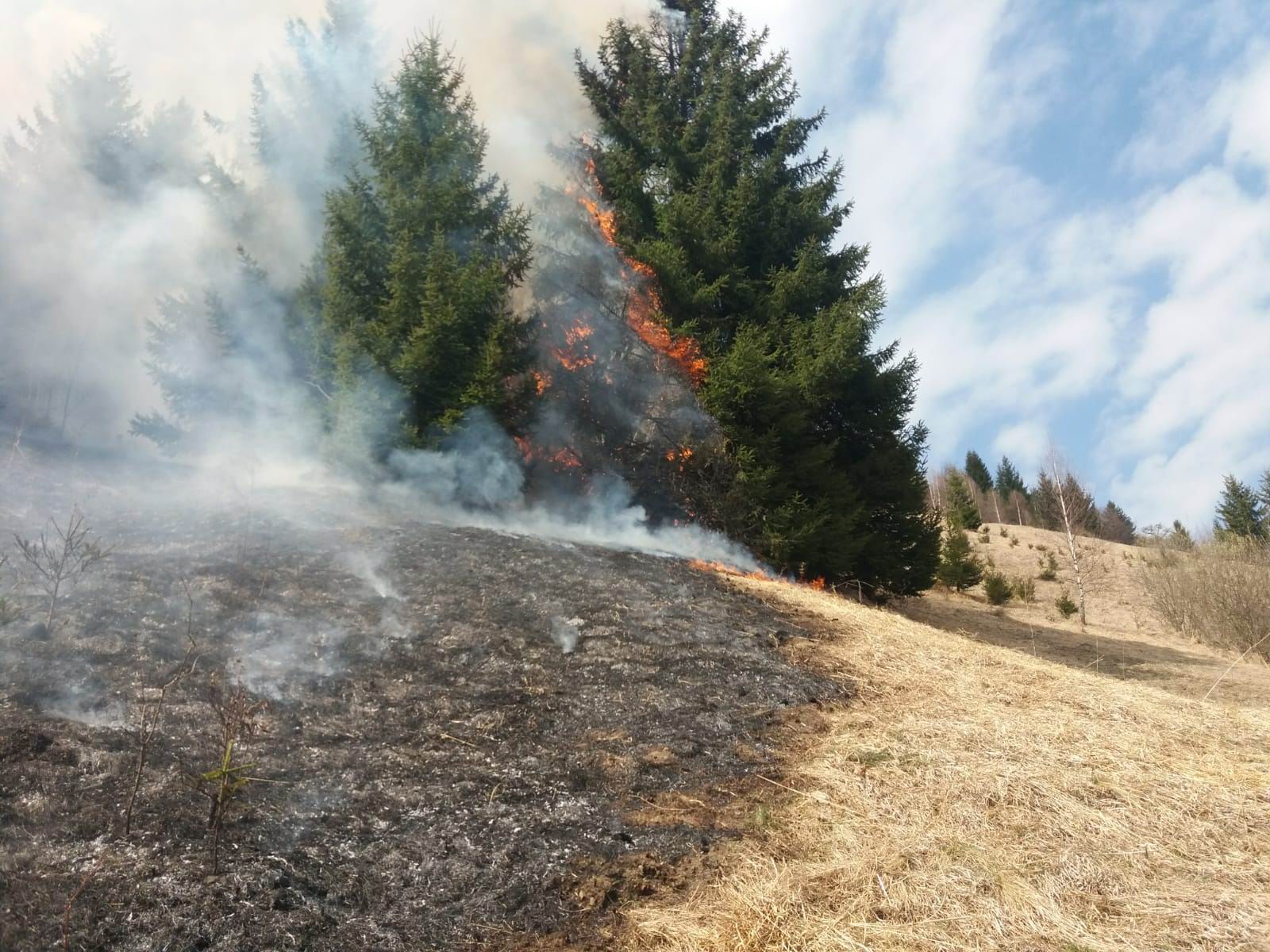 Incendii de vegetație uscată pe 32 de hectare, în cursul zilei de miercuri