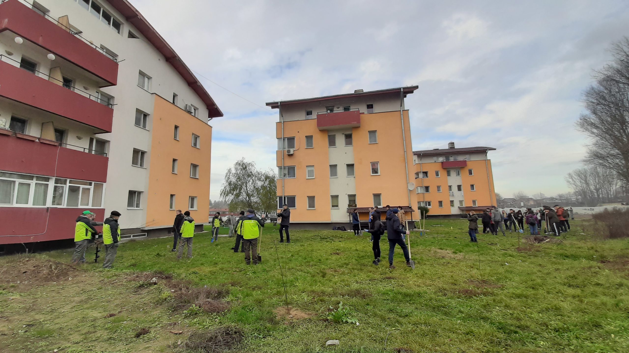 Elevii romașcani și echipa Fereastra 1 au plantat sute de puieți în cartierul ANL Vasile Lupu