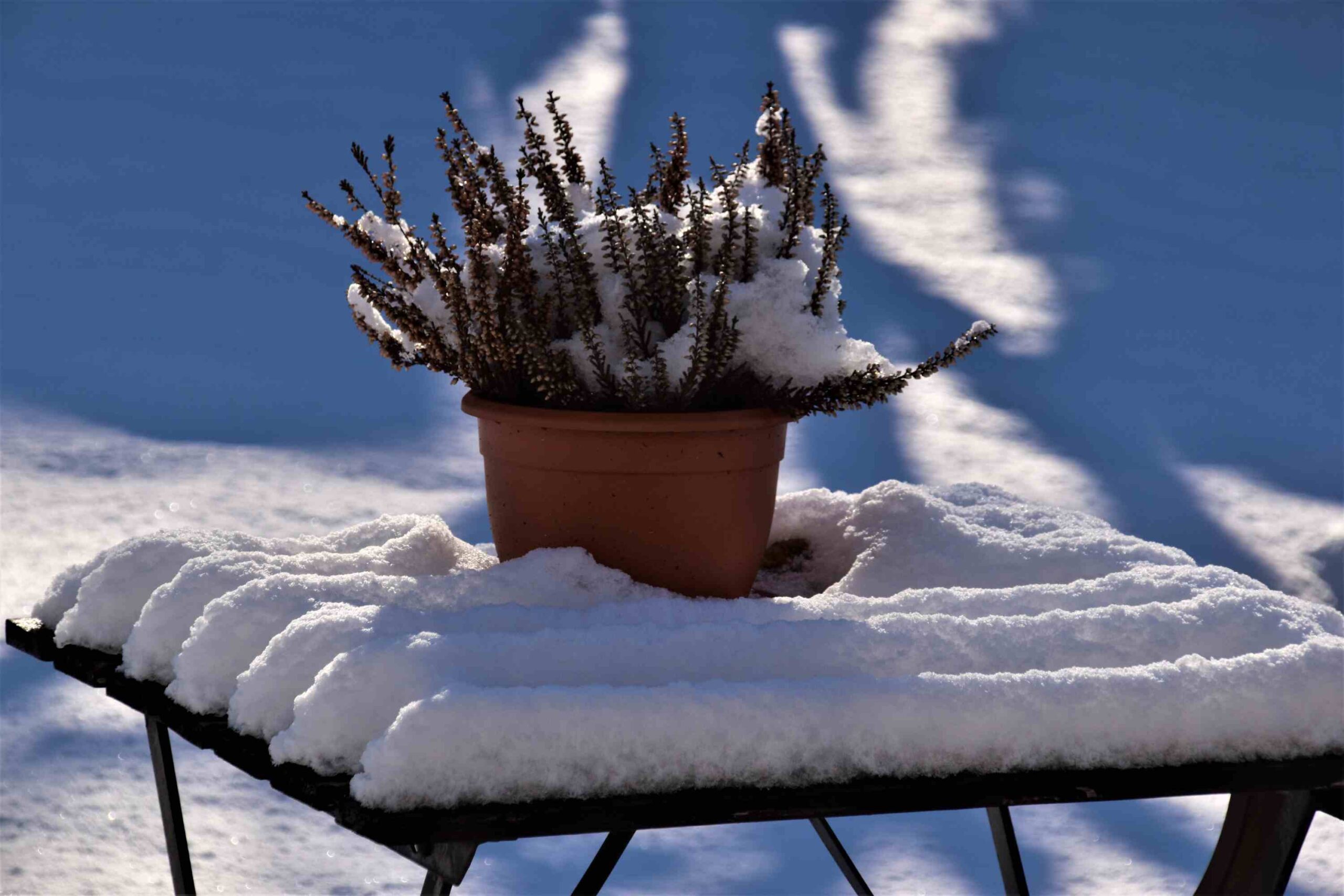 6 idei de îngrijire și amenajare a grădinii în perioada toamnă-iarnă