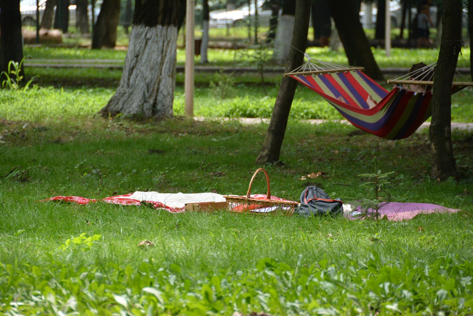Ce activități îi așteaptă pe romașcani la picnicul din Parcul Municipal de pe 14 iulie