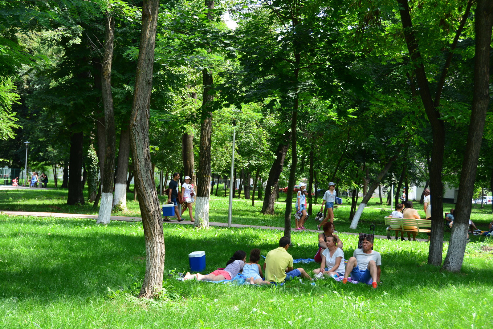 Programul activităților pregătite pentru picnicul din Parcul municipal de duminică, 14 iulie